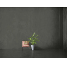 Szene mit einem Stuhl und einer Topfpflanze vor einer grauen Wand