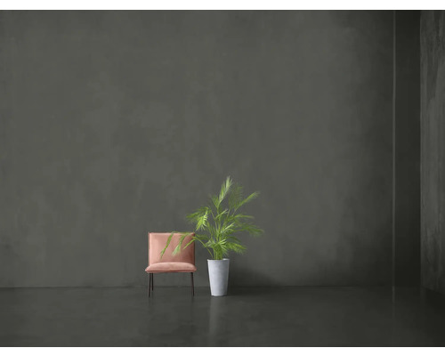 Szene mit einem Stuhl und einer Topfpflanze vor einer grauen Wand