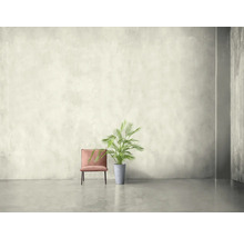 Innenraum mit Stuhl und Zimmerpflanze in modernem Design