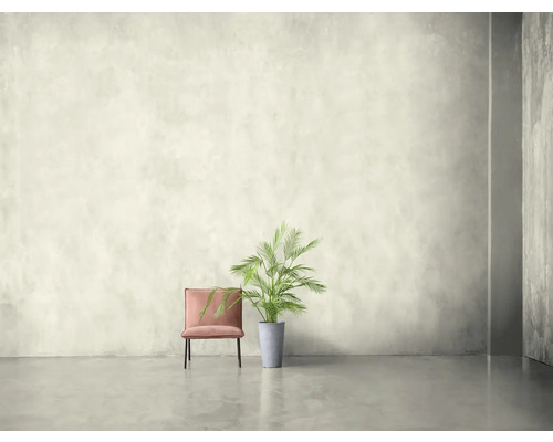 Innenraum mit Stuhl und Zimmerpflanze in modernem Design