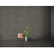 Innenraum mit Sessel und Topfpflanze vor einer Wand