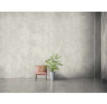 Heller Raum mit Sessel und Zimmerpflanze in grauem Topf