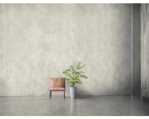Heller Raum mit Sessel und Zimmerpflanze in grauem Topf