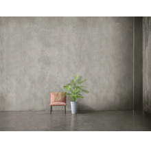 Zimmerdarstellung mit einem Stuhl und einer Zimmerpflanze.