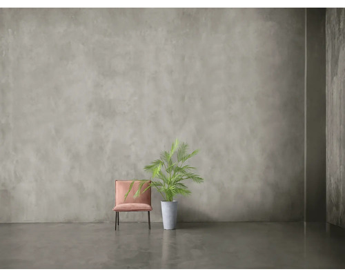 Zimmerdarstellung mit einem Stuhl und einer Zimmerpflanze.