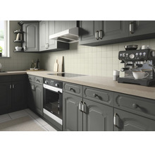 Küche mit grauen Schränken, Elektroherd und Dunstabzugshaube.