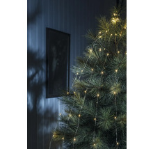 Nahaufnahme eines Weihnachtsbaums mit Lichterkette