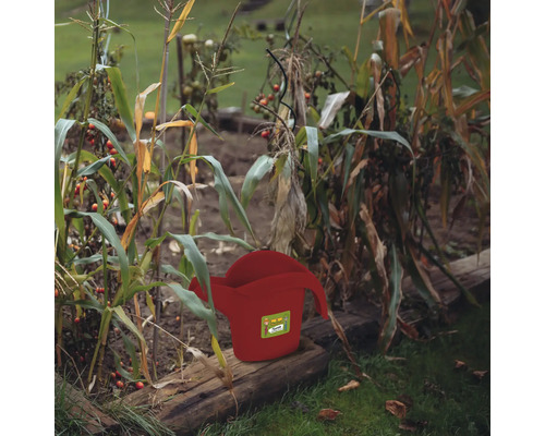 Rote Gießkanne im Gartenbeet zwischen Pflanzen