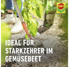 Gemüsegarten mit Gartenwerkzeug und Compo Logo.