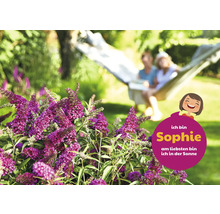 Schmetterlingsflieder im Garten mit entspannten Personen in der Hängematte