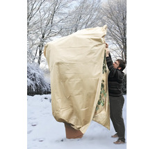 Pflanzenschutzhaube wird im Winter über eine Topfpflanze gezogen