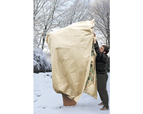 Pflanzenschutzhaube wird im Winter über eine Topfpflanze gezogen