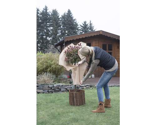 Eine Frau hantiert mit einem verpackten Strauch und einem Beetzaun im Garten.