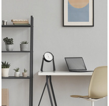 Innenraumszene mit Schreibtisch, Tischuhr, Regal und Zimmerpflanzen