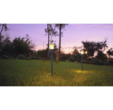 Zwei Gartenleuchten mit Erdspieß auf Rasenfläche