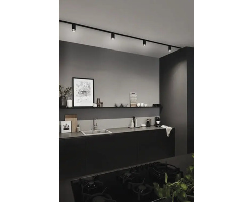 Moderne Küche mit schwarzer Küchenzeile, Spüle, Regal und schwarzem Schienensystem mit Strahlern.