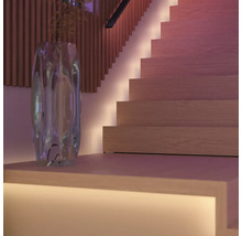 Szene mit beleuchteter Treppe, Dekorationsgegenständen und Treppengeländer.