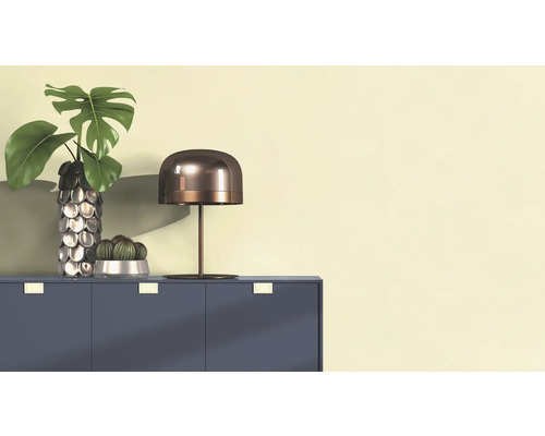 Dekoratives Stillleben mit einer Monstera Pflanze in einer Vase, einem Kaktus in einem Topf und einer Tischlampe auf einem Schrank.