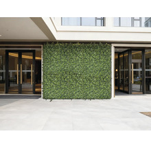 Fassade mit künstlicher Hecke und Eingangsbereich mit Glastüren