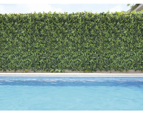 Dekorative grüne Pflanzenwand neben einem Schwimmbecken.