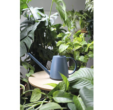 Gießkanne zwischen Zimmerpflanzen auf dem Tisch