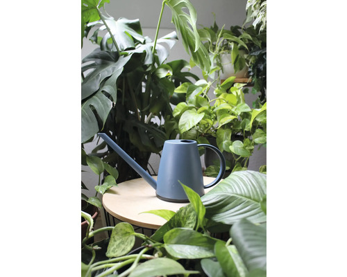 Gießkanne zwischen Zimmerpflanzen auf dem Tisch