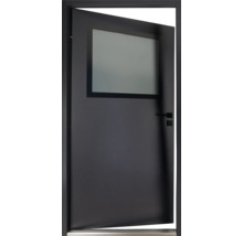 Moderne Innentür mit Glaseinsatz