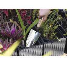 Edelstahllöffel in einem Pflanzgefäß zwischen Pflanzen