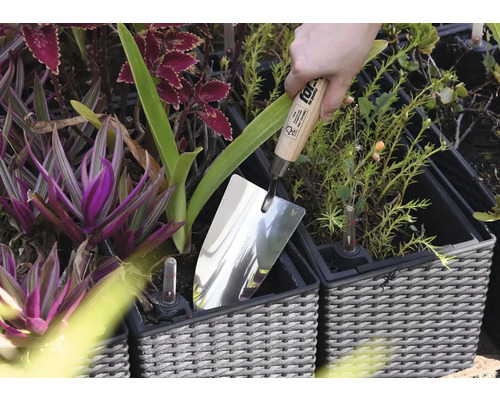 Edelstahllöffel in einem Pflanzgefäß zwischen Pflanzen