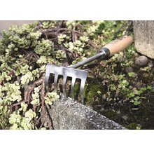 Gartenhandrechen mit Holzgriff und Metallzinken zwischen Pflanzen