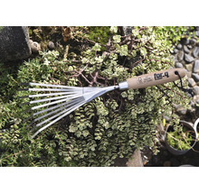 Gartenrechen mit Holzgriff und Metallzinken, umgeben von Grünpflanzen.