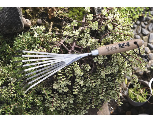 Gartenrechen mit Holzgriff und Metallzinken, umgeben von Grünpflanzen.