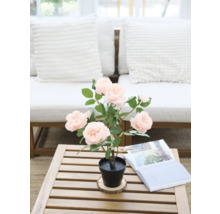 Dekorative Kunstrose im Topf auf einem Holztisch