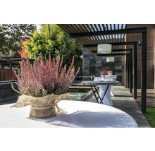 Arrangement mit Heidekraut auf einem Gartentisch