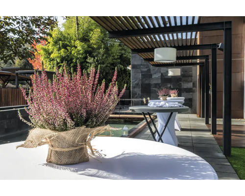 Arrangement mit Heidekraut auf einem Gartentisch