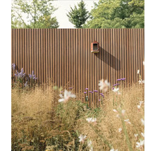 Holzzaun mit Vogelhaus und Gartenpflanzen