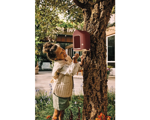 Mädchen betrachtet Vogelhaus am Baum im Garten.