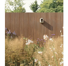 Gartenzaun aus Holz mit Pflanzen und Dekoration