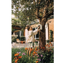 Ein Mädchen befestigt ein Vogelhaus an einem Baum im Garten.