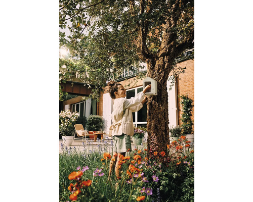 Ein Mädchen befestigt ein Vogelhaus an einem Baum im Garten.
