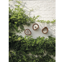 Dekorative Nistkästen für Vögel an einer Gartenmauer mit Kletterpflanzen