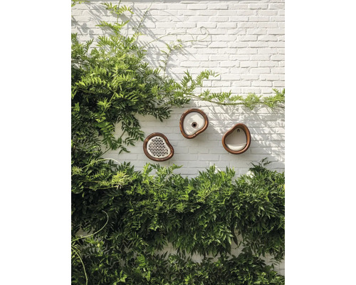 Dekorative Nistkästen für Vögel an einer Gartenmauer mit Kletterpflanzen