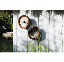 Zwei dekorative Vogeltränken an einer Holzwand im Garten.