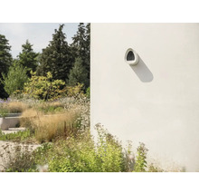 Außenansicht einer Hauswand mit einem Nistkasten und einem Garten im Hintergrund.