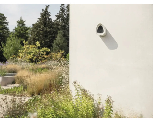 Außenansicht einer Hauswand mit einem Nistkasten und einem Garten im Hintergrund.