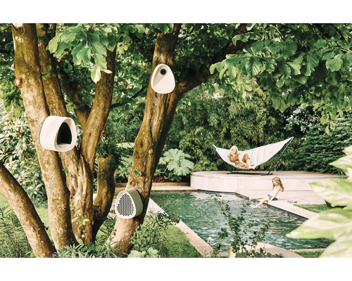 Szene im Garten mit Vogelhäusern an einem Baum, Frau in einer Hängematte und Kind am Pool.