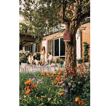 Szene im Garten mit Menschen, Pflanzen und einem Vogelhaus am Baum