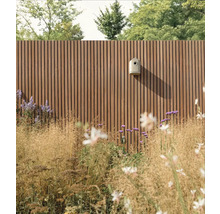 Gartenansicht mit Holzzaun und Vogelhaus