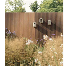 Gartenzaun mit drei Vogelhäusern und Bepflanzung