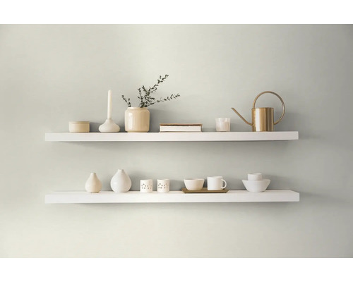 Zwei weiße Regale mit Dekorationsgegenständen an einer Wand
